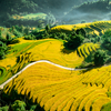 Những điểm đến du lịch xanh tuyệt đẹp ở Việt Nam