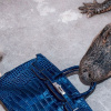 Từ 'thiên đường hàng nhái' đến nơi săn túi Hermès Birkin, Louis Vuitton