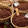 Những loại cà phê thơm ngon nổi tiếng của Việt Nam được du khách ưa chuộng