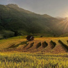 Hè này, về ngôi làng 'Sapa thu nhỏ' ngắm ruộng bậc thang mùa nước đổ đẹp mơ màng