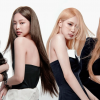 BLACKPINK dừng hoạt động