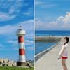 Mùa hè đáng nhớ ở đảo Lý Sơn
