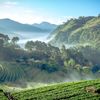 Lạc lối ở Chiang Mai - Đóa hồng phương Bắc Thái Lan