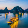 Ai đưa tỷ phú Ấn Độ và 4.500 nhân viên du lịch Việt Nam?