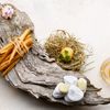 Từ nhà máy chưng cất đến bàn ăn, cuộc phiêu lưu ẩm thực của Tom Meyer với The Macallan