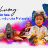 Tận hưởng nền văn hóa đa sắc màu của Malaysia
