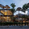Thiết kế biophilic – kiến tạo phong cách sống wellness