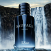 Ngoạn mục và đầy mê hoặc, đó là mùi hương Sauvage Eau Forte của Dior