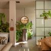 Căn hộ São Paulo: Không gian hiện đại an lành