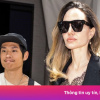 Tổn thất của Angelina Jolie và Brad Pitt