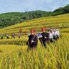 Lễ hội Mùa vàng trên non cao Phú Thọ – điểm hẹn du lịch hấp dẫn
