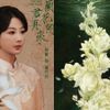 Dương Tử liên tiếp nhận dự án phim tầm cỡ thể loại đại nữ chủ, chuyển mình trong sự nghiệp