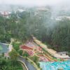 Một ngày lạc giữa Rừng Thông Núi Voi, nơi bình yên chạm tới từng hơi thở