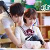 82 phim chuyển thể khiến fan ngôn tình mê mẩn không lối thoát