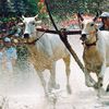 An Giang thắp sáng giá trị đoàn kết, nâng cao đời sống đồng bào dân tộc