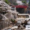 Arima Onsen: Miền đất thiêng của suối nước nóng và văn hóa Nhật Bản