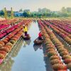 Festival Hoa – Kiểng Sa Đéc: Bước tiến mới trong phát triển du lịch văn hóa – nông nghiệp