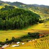 Du lịch Thanh Hoá: Nâng tầm thương hiệu trên bản đồ du lịch Việt Nam