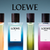 LOEWE - hương thơm quyến rũ