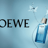 LOEWE ra mắt Agua Drop - Sự hòa quyện tinh tế của sương mai tươi mát và hương gỗ đậm đà