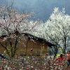 Du lịch Hòa Bình có gì mà khiến ai cũng muốn “xách ba lô và đi”?