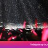 Mưa lớn ở concert Anh trai vượt ngàn chông gai