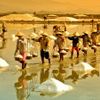 Check-in từ biển đến núi: 13 điểm đến nổi bật ở Quảng Ngãi