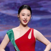 Hoa hậu Trâm Anh không được cử đi thi Miss Earth 2025