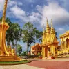 Trà Vinh, nơi biển, rừng và văn hóa Khmer hòa làm một