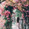 Tử vi 12 con giáp Chủ nhật ngày 14/9/2025: 5 tuổi dũng cảm đối mặt với thay đổi