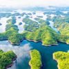 Khu du lịch Tà Đùng: Giá vé, đường đi, homestay và trải nghiệm