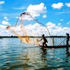 Cà Mau: Du lịch cất cánh từ lợi thế rừng vàng, biển bạc