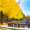Top 4 tour mùa thu 2025 không thể bỏ lỡ – Trải nghiệm khó quên