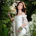 Ảnh trong bài