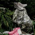 Ảnh trong bài