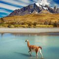 Chile độc đáo qua những điều có thể bạn chưa biết - 12