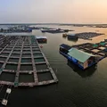 Du lịch Hồ Tràm - Bè hàu Long Sơn