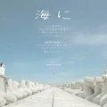 du lịch chụp ảnh hồ tràm