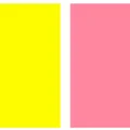 Màu vàng kết hợp với màu gì thì đẹp? Vàng và hồng fuchsia hay hồng cá hồi