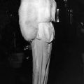 Bianca Jagger