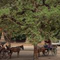 Quay ngược thời gian, tìm về Bagan - thành phố của thực và mộng - 10