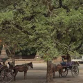 Quay ngược thời gian, tìm về Bagan - thành phố của thực và mộng - 10