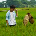Tô Văn Lộc