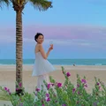 Ảnh trong bài