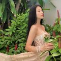 Ảnh trong bài