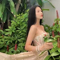 Ảnh trong bài
