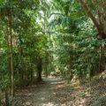 Đến Pulau Ubin “xem lại” những hình ảnh, thước phim của “ngày hôm qua” - 11
