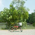 Đến Pulau Ubin “xem lại” những hình ảnh, thước phim của “ngày hôm qua” - 12