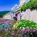 Dalat Wonder Resort