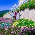 Dalat Wonder Resort